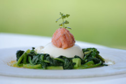 letto di verdure con mozzarella e salmone - villa la fenice